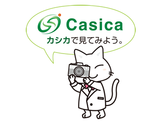 カシカで見てみよう